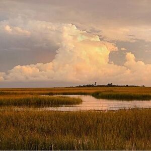 Meet your Posher, Virginia Outlaw